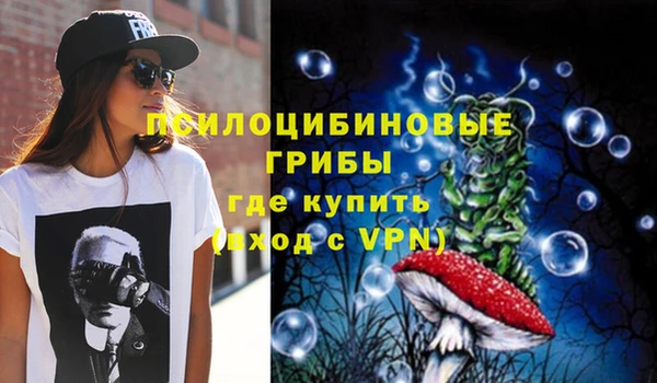 спайс Алексин