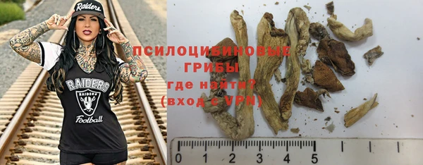 спайс Алексин