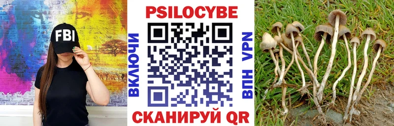 где найти наркотики  Алупка  Псилоцибиновые грибы MAGIC MUSHROOMS 